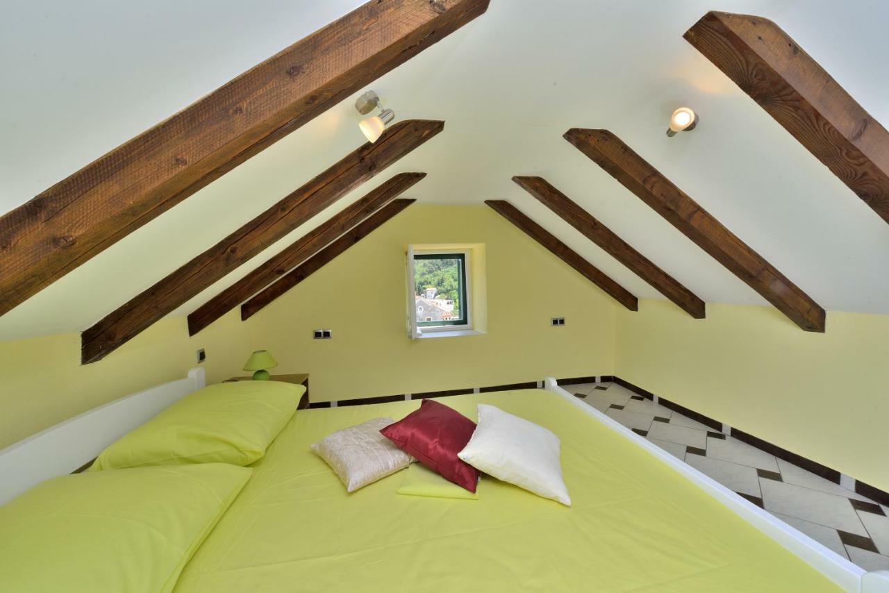 Apartments Carpe Diem Novigrad  Zewnętrze zdjęcie