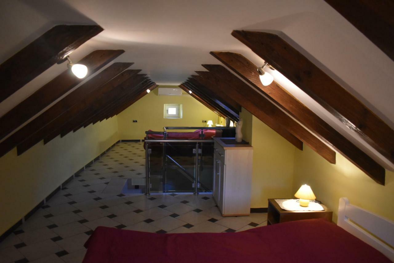 Apartments Carpe Diem Novigrad  Zewnętrze zdjęcie