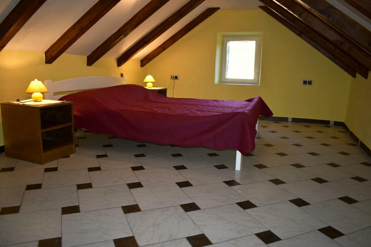 Apartments Carpe Diem Novigrad  Zewnętrze zdjęcie